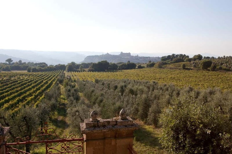 Orvieto: Tour and wine tasting at Tenuta Le Velette - Discovering Tenuta Le Velette: A Blend of History and Modernity