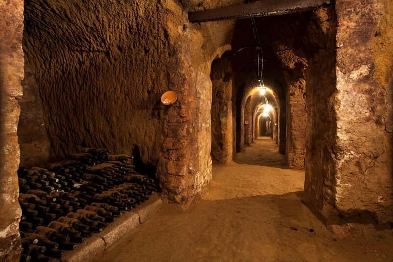 Orvieto: Tour and wine tasting at Tenuta Le Velette - Walk Through the Cellars: Digging Into Tuff