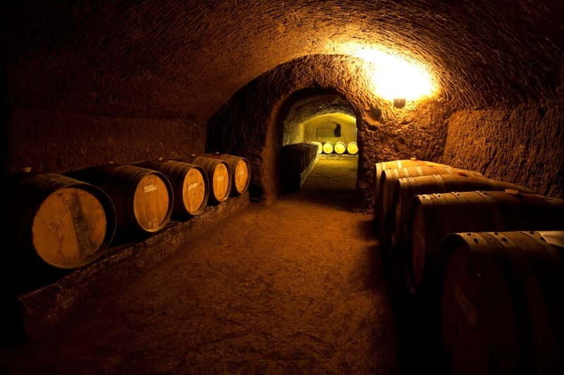 Orvieto: Tour and wine tasting at Tenuta Le Velette - Practical Details and Booking