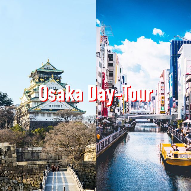 Osaka: 10-Hour Customizable Tour With Private Car - Transportation and Comfort