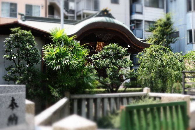 Osaka Castle and a Visit to the Longest Shopping Street in Japan - Whats Included