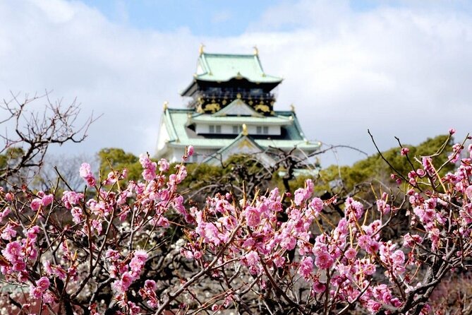 Osaka Cherry Blossom Tour With a Local: 100% Personalized Private - Flexible Meeting and Pickup Options