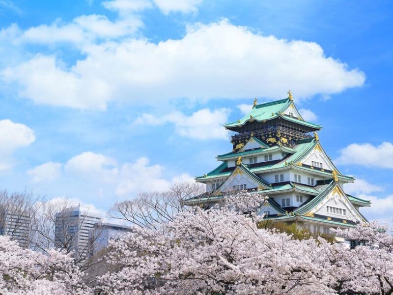 Osaka City English Private Tour Hotel Pickup Sightseeing - Vehicle Options