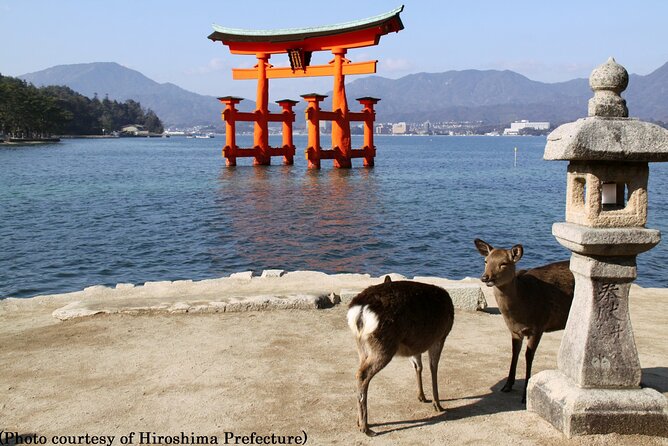Osaka Departure - 1 Day Hiroshima & Miyajima Tour - Return to Osaka by Bullet Train