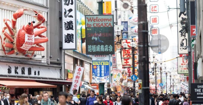 Osaka: Explore in Luxury, Private Guided Tour With a Car - Language Options