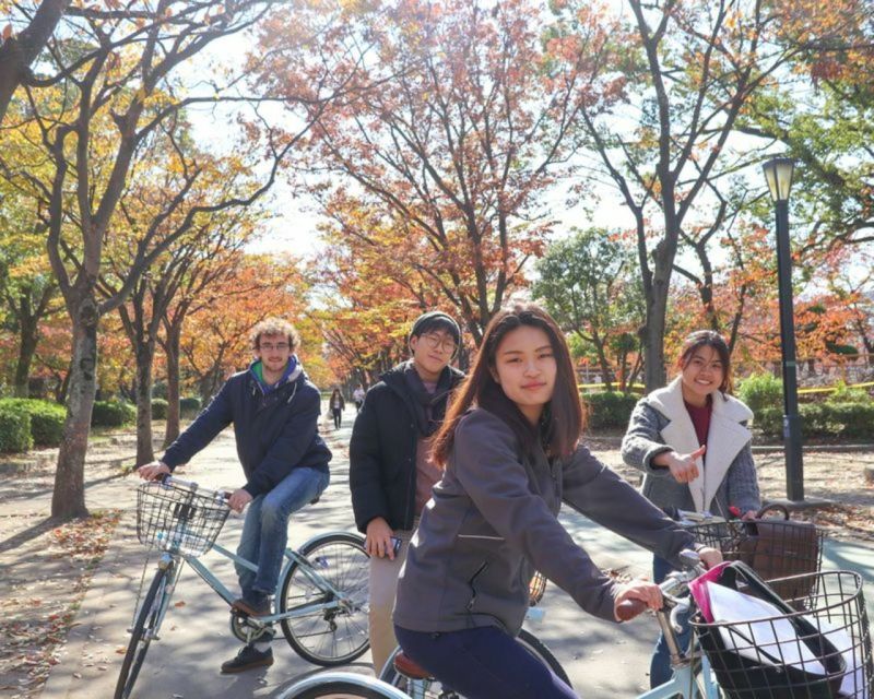Osaka: Guided City Highlights Bike Tour With Lunch - Key Points