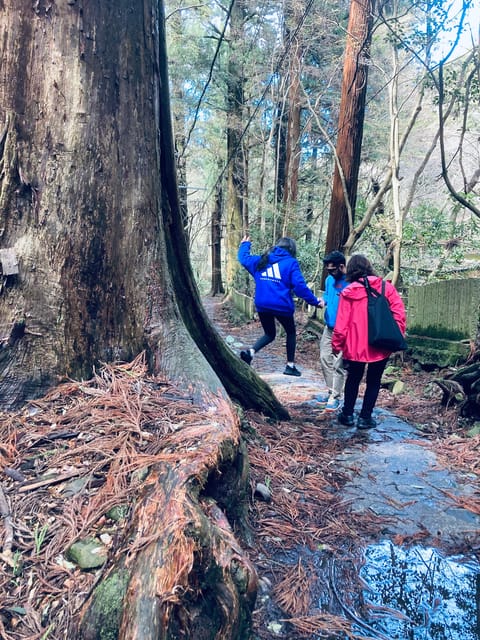 Osaka Izumisano: Mt. Inunaki Trekking and Hot Springs - Hot Springs at Fudouguchi-Kan