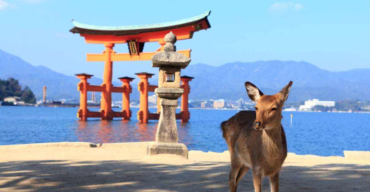 Osaka/Kyoto: Hiroshima and Miyajima Trip With Indian Lunch - Booking and Pricing