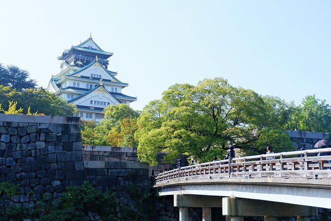Osaka Like a Local: Customized Private Tour - Reviews and Details