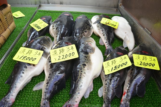 Osaka Market Food Tour - Cancellation Policy and Weather Considerations