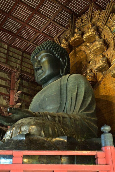 Osaka: Nara & Uji Day Tour: Deer Park, Matcha & Hot Springs - Recap