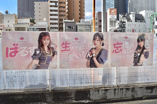 Osaka Otaku Tour - Additional Tour Options