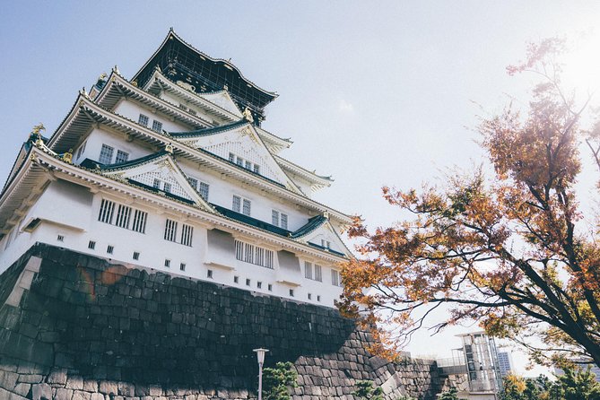 Osaka Private Tour: From Historic Tenma To Dōtonbori's Pop Culture - 8 Hours - Visit Iconic Tenjinbashi-suji Shopping Street