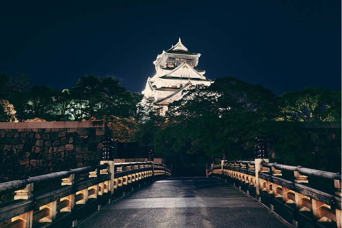 Osaka : Private Walking Tour With a Guide (Private Tour) - Inclusions of the Tour