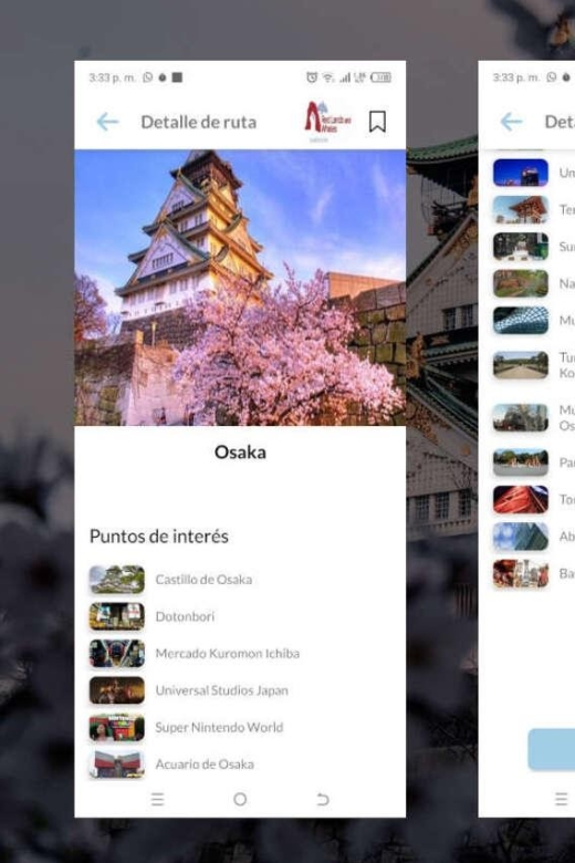 Osaka Self-Guided App With Multi-Language Audio Guide - Pricing and Booking