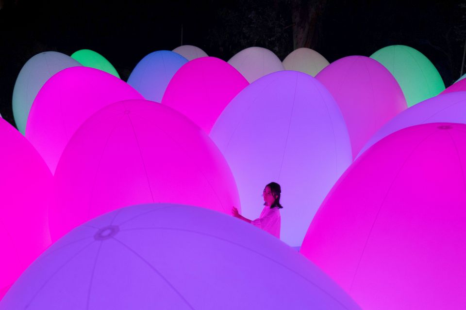 Osaka: Teamlab Botanical Garden Entry Ticket - Key Points