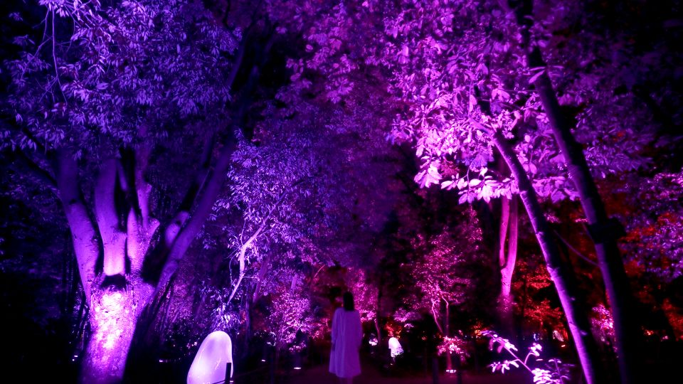 Osaka: Teamlab Botanical Garden Entry Ticket - Practical Information for Visitors