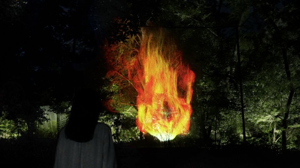 Osaka: Teamlab Botanical Garden Entry Ticket - Ticket Availability and Pricing