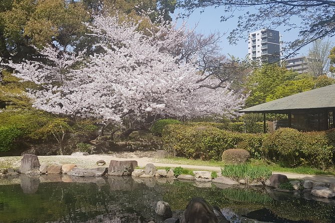 Osakas Best and Brightest by Private Vehicle - Top Sites in Osaka