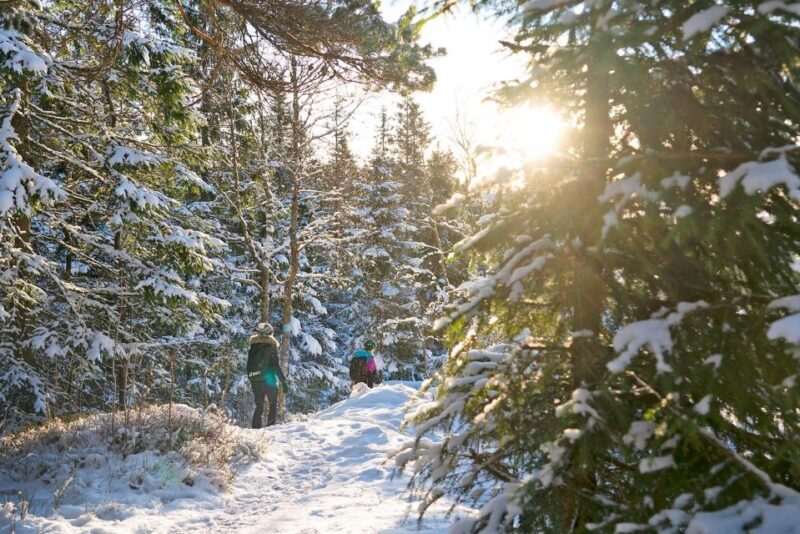 Oslo: Best View of the Oslofjord Winter Edition - FAQs