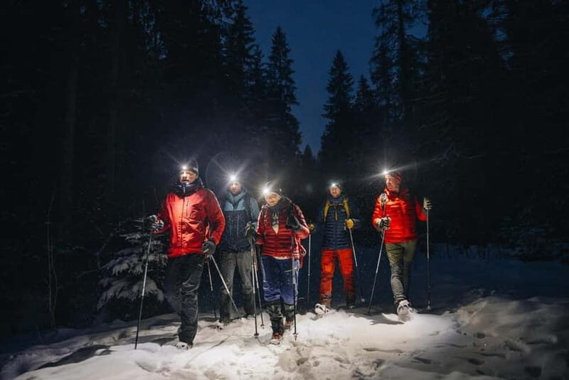 Oslo Forest: Mystery Nocturne Walk with Headlamps - Key Points  