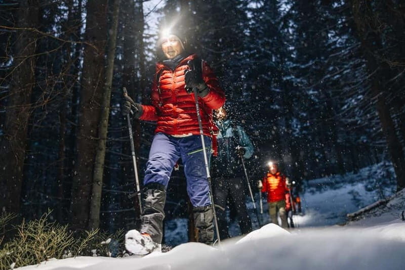 Oslo Forest: Mystery Nocturne Walk with Headlamps - An In-Depth Look at the Oslo Forest Nocturnal Walk