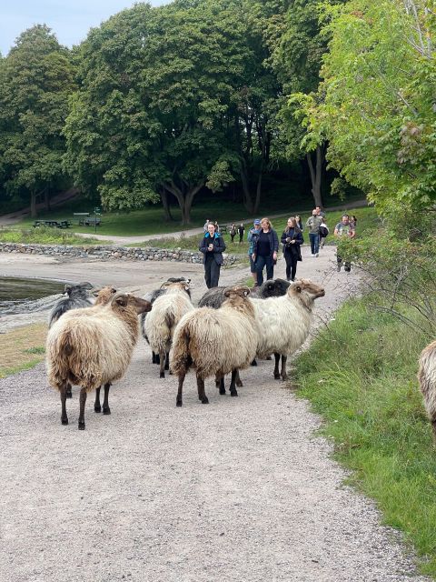 Oslo Island Walks: Island Hopping Tour - Who is This Tour Best For?