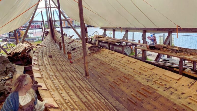 Oslo: Legendary Viking Treasures (Private Bus Tour) - Why the Experience Adds Value