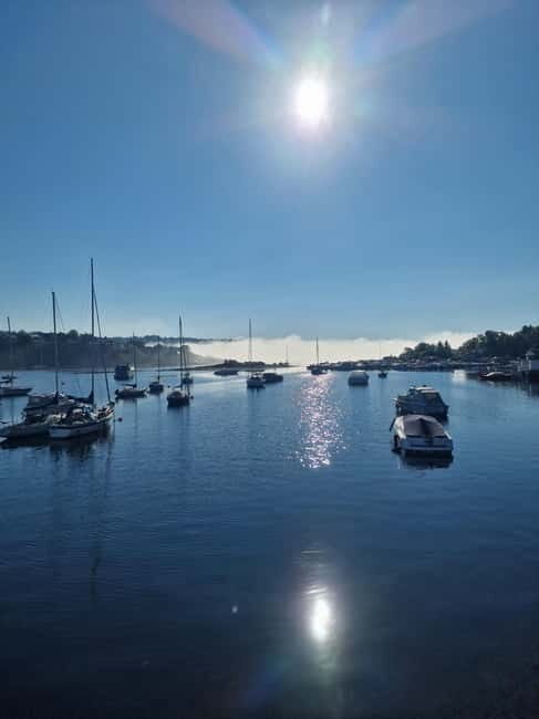 Oslo: Malmøya Island Guided Hike with Waffle and Drink - The Allure of Malmøya Island: Why it’s Worth the Trip