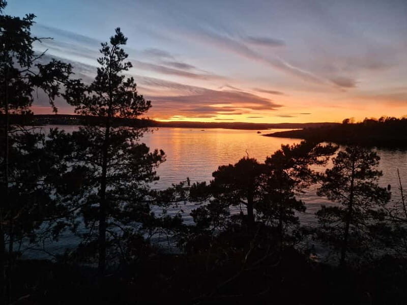 Oslo: Malmøya Island Guided Hike with Waffle and Drink - Practical Details: What To Expect