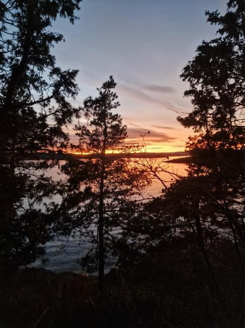 Oslo: Malmøya Island Guided Hike with Waffle and Drink - Final Thoughts: Who Will Love This Tour?