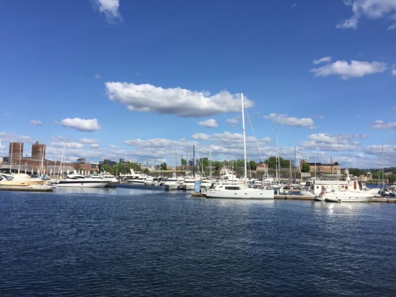 Oslo: Oslo Discovery Tour with 2 Museums Included - The Experience: What Past Travelers Say