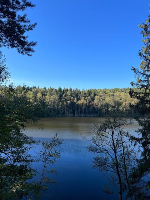 Oslo: Scenic Forest Hike with Dog & Local Guide - Exploring Norway’s Wilderness: A Review of the Oslo Scenic Forest Hike with Dog & Local Guide