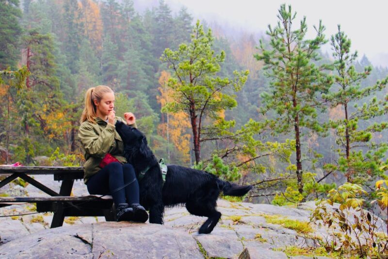 Oslo: Scenic Forest Hike with Dog & Local Guide - Practical Tips for Participants