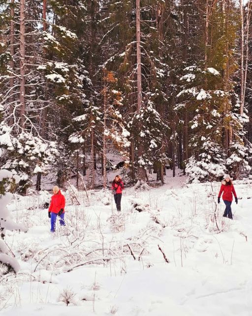 Oslo: Scenic Forest Hike with Dog & Local Guide - Final Thoughts