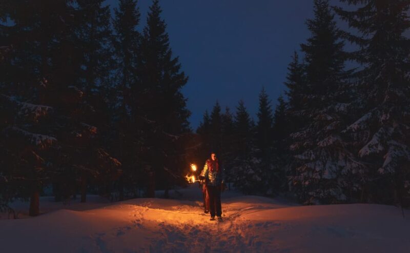 Oslo: Snowy Forest Torchlight Walk with Campfire - What’s Included and What Not