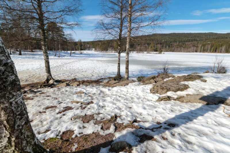 Oslo Summit: A Scenic Hiking Adventure to Vettakollen - Itinerary Overview
