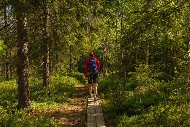 Oslo: The Magical Norwegian Woods Tour - The Sum Up