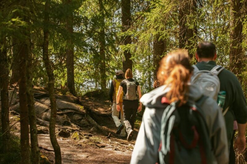 Oslo: The Spectacular Holmenkollen Walk - Key Points