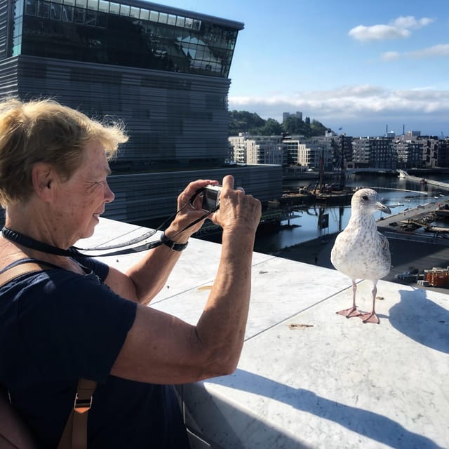 Oslo Unveiled: Private Walking Tour - Key Points  