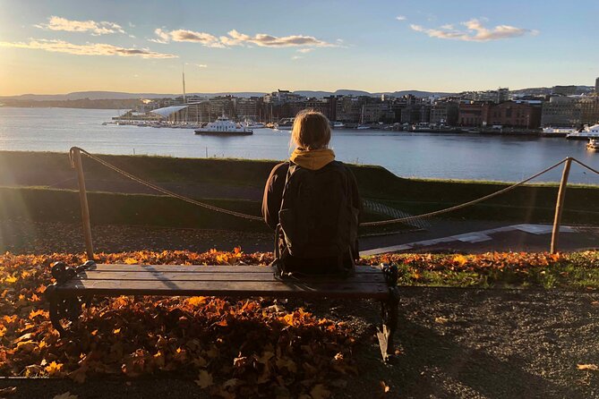 Oslo Unveiled: Private Walking Tour - Architectural Marvels and Landmarks