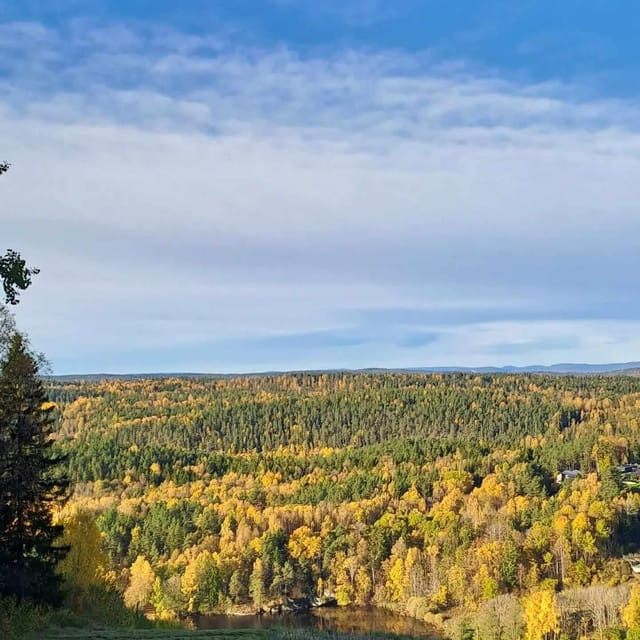 Oslo: Yoga & Hiking with a dog - Introduction: A Relaxing Escape Just Outside Oslo