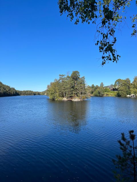 Oslo: Yoga & Hiking with a dog - Who Would Love This Experience?