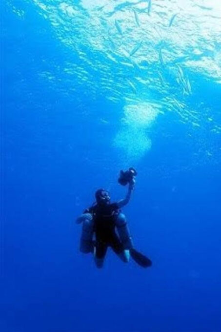 Oslob Cebu: Whaleshark Scuba Diving & Sumilon Sanctuary - Health and Safety Considerations
