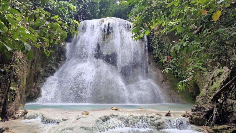 Oslob: Whale Shark Swim & Aguinid Falls Canyoneering Tour - Who Should Consider This Tour?