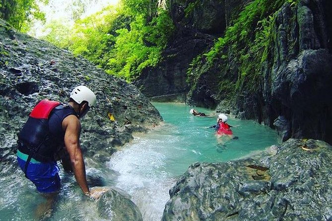 Oslob Whale Shark Swimming & Canyoneering Adventure, Kawasan Falls Day Tour - Overview of the Adventure