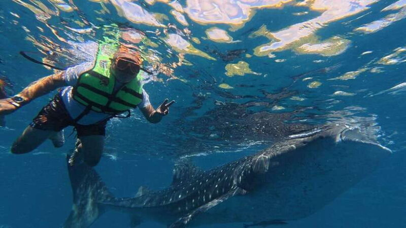 Oslob: Whale Shark Watching Private tour - Why This Tour Is Worth Considering