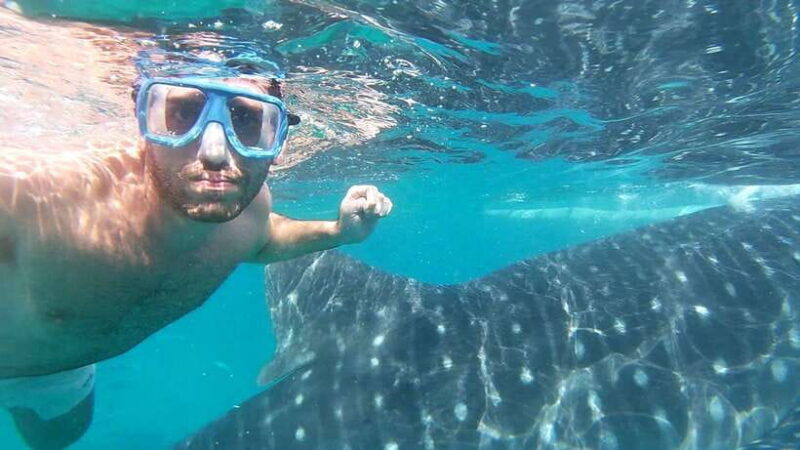 Oslob: Whale Sharks, Inambakan Falls & Moalboal Sardines - Final Thoughts: Is It Worth It?