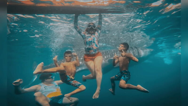 Oslob: Whale Sharks, Tumalog Falls & Sumilon Trio Adventure - What’s Included and What’s Not