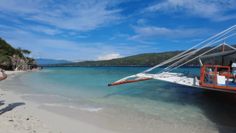 Oslob: Whale Sharks, Tumalog Falls & Sumilon Trio Adventure - Real Experiences from Travelers